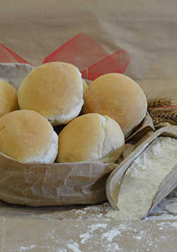 Bocconcino
