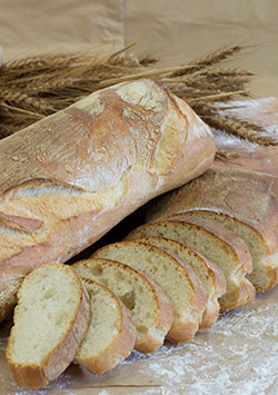 Ciabatta