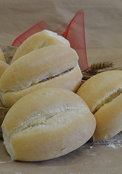 Maggiolino
